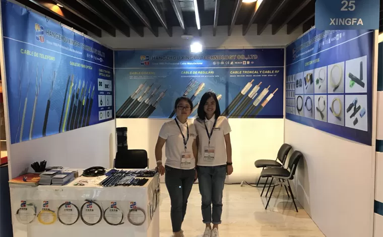 Андлина Линк 2019